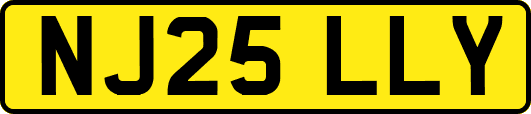 NJ25LLY