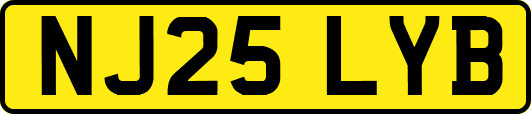 NJ25LYB