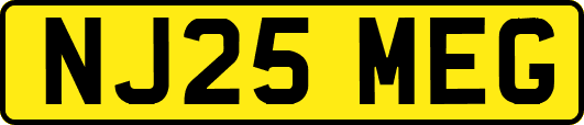 NJ25MEG