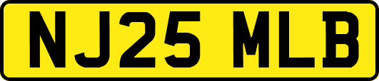 NJ25MLB