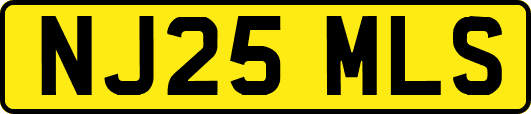 NJ25MLS