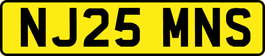 NJ25MNS