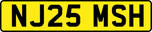 NJ25MSH