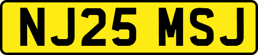NJ25MSJ