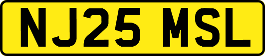 NJ25MSL