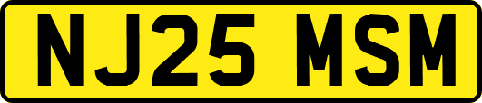 NJ25MSM