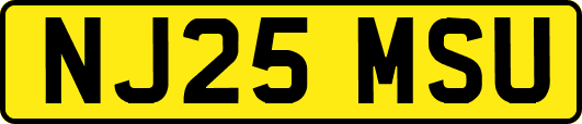 NJ25MSU