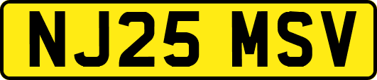 NJ25MSV