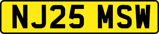 NJ25MSW
