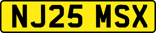 NJ25MSX