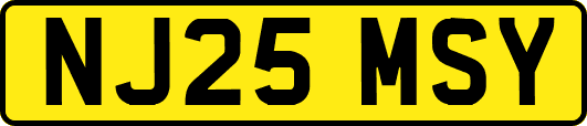 NJ25MSY