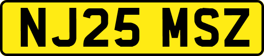 NJ25MSZ