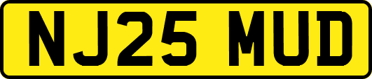 NJ25MUD