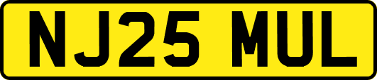 NJ25MUL