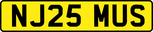 NJ25MUS