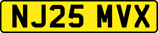 NJ25MVX