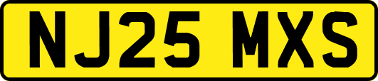 NJ25MXS