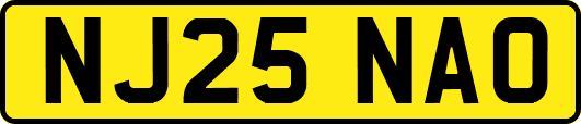 NJ25NAO