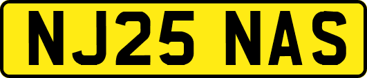 NJ25NAS