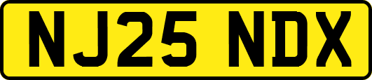 NJ25NDX