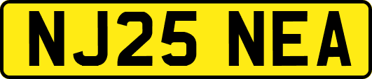 NJ25NEA