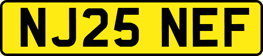 NJ25NEF