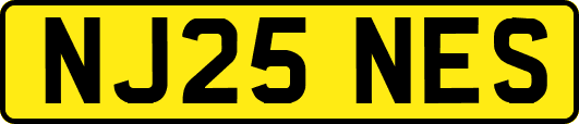NJ25NES