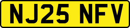 NJ25NFV