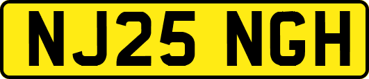 NJ25NGH
