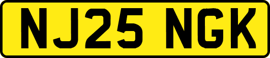 NJ25NGK