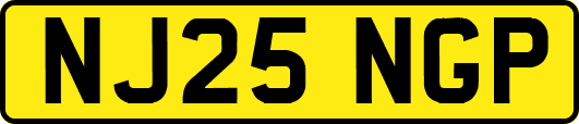 NJ25NGP
