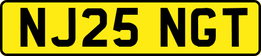 NJ25NGT