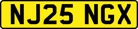NJ25NGX