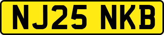 NJ25NKB