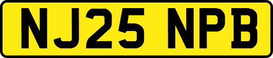 NJ25NPB