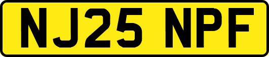 NJ25NPF