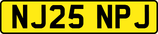 NJ25NPJ