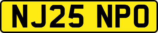 NJ25NPO