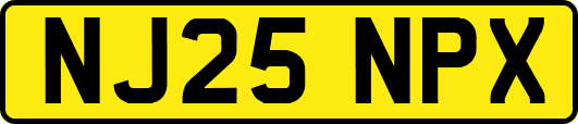 NJ25NPX