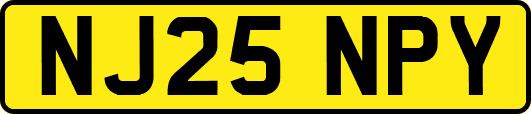 NJ25NPY