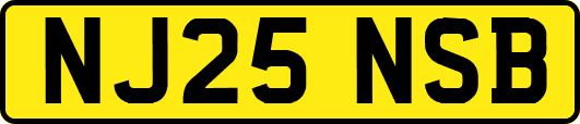 NJ25NSB