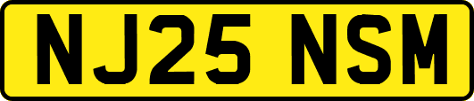NJ25NSM