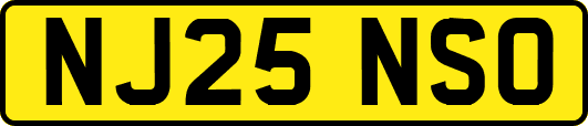 NJ25NSO