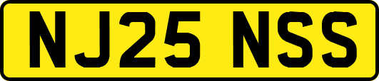 NJ25NSS