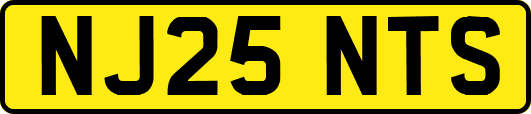 NJ25NTS
