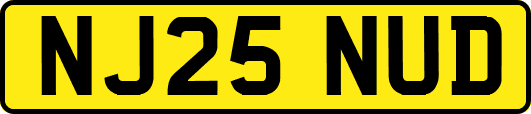 NJ25NUD