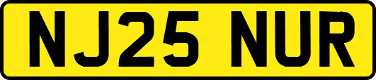 NJ25NUR