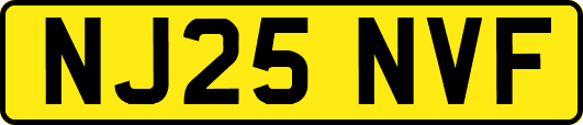 NJ25NVF