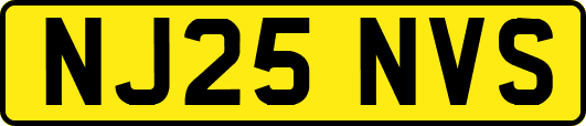 NJ25NVS
