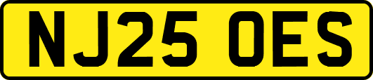 NJ25OES